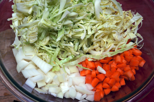 cabbage carrot onion