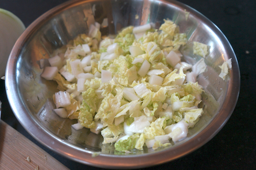 napa cabbage onion