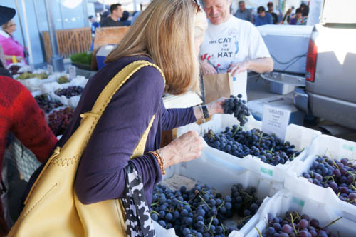 grapes ferry building market