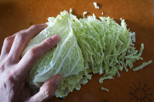 shredding savoy cabbage
