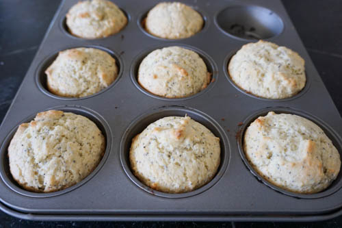 baked everything muffins